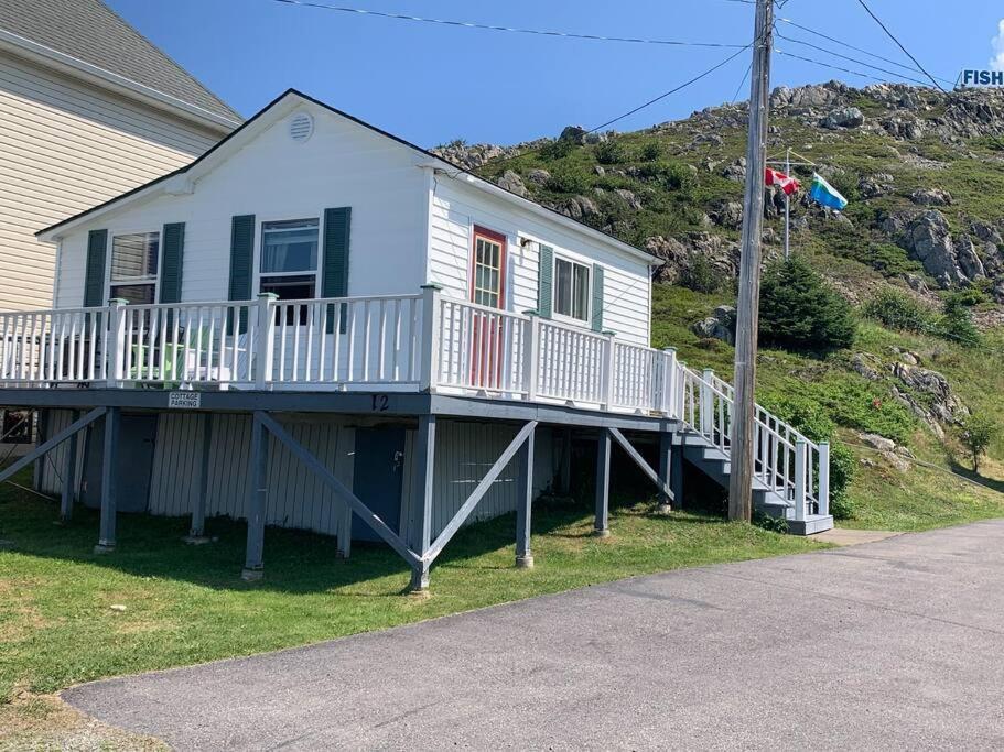 Hillside Cottage Twillingate Eksteriør billede